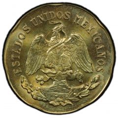 6 Pesos Pattern, Tortuga Verde, Brass