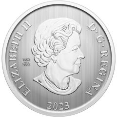 50 Cents In the name of Elizabeth II, Holiday Sledding