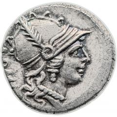 Denarius Carisia: Titus Carisius, ROMA / T•CARISI