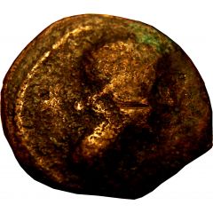 Dichalkon - Livia Alexandria