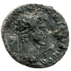 Denarius - Nerva P M TR P COS III P P, Pax
