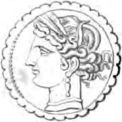 Dishekel