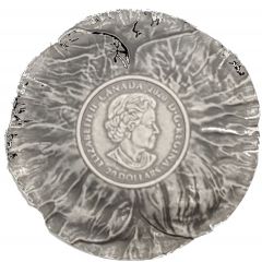 20 Dollars - Elizabeth II Remembrance day