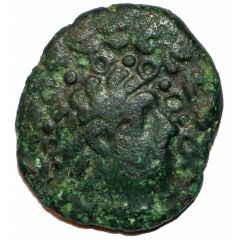Bronze Unit `Curly Lion`