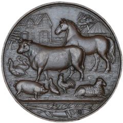 Award - Victoria Royal Agricultural Society of Natal