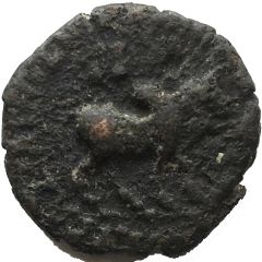 Chalkous - Azes II Indo-Scythian Kingdom