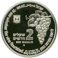 2 New Shequalim Fox and Vineyard
