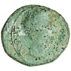 As - Augustus CA