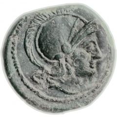 Quartuncia Anonymous, ROMA