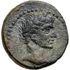 Æ15 - Augustus ΣΑΜΙΩΝ