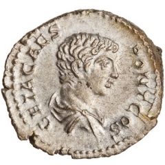Denarius - Geta MINERVA, Minerva
