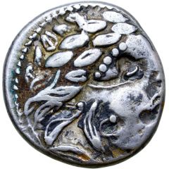 Tetradrachm Leierblume Type