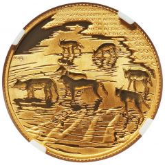50 Rand - 1/2 Ounce Natura - African Painted Wolf
