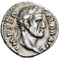 Denarius - Galba SALVS GEN HVMANI