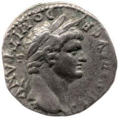 Denarius - Domitian COS IIII, Pegasus