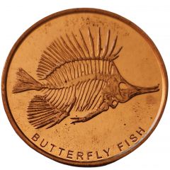 Skeletons -Butterfly Fish Orlando, Florida