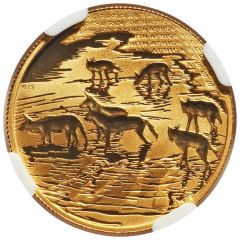 20 Rand - 1/4 Ounce Natura - African Painted Wolf