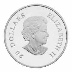 20 Dollars - Elizabeth II Ice Crystals