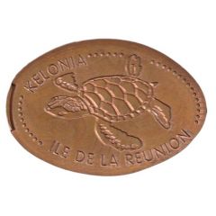 Kélonia tortue marine