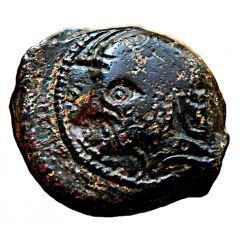 Bronze at bearded type CRICIRV