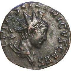 Antoninianus - Tetricus II SPES AVGG, Cologne