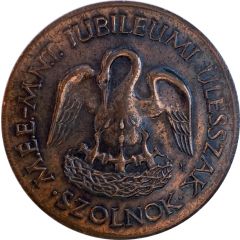 Medal - Szolnok, Jubilee Term