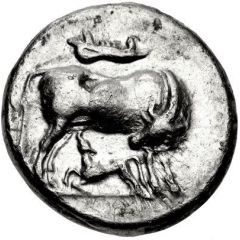 Stater - Monounios