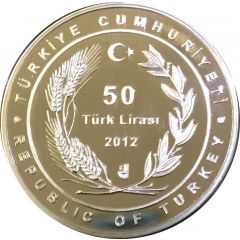 50 Lira Stray Animals