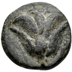 Chalkon