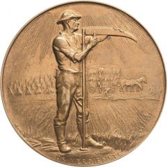 State exhibition award medal - In the field of agriculture Free State of Saxony