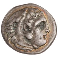 Drachm In the name of Alexander III; Lampsakos