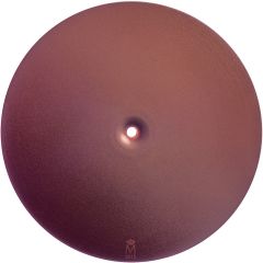 Medal - 2015 TFP Award, José María Sicilia