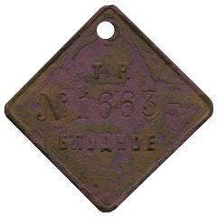 Token - Bludnoye Leningrad Region