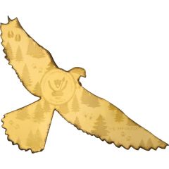 100 Francs Falcon