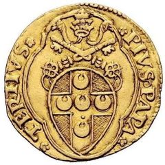 1 Fiorino di Camera - Pius III