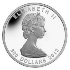 300 Dollars - Elizabeth II 25th Anniversary of the Platinum Maple Leaf