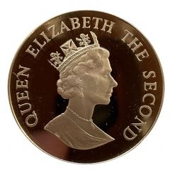 50 Pence - Elizabeth II V.E. Day