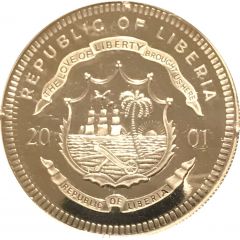 20 Dollars Dolphins