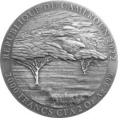 2000 Francs Buffalo