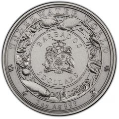 5 Dollars Spotted Seal