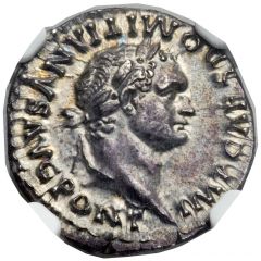 Denarius - Domitian P P COS VII DES VIII