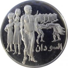 Medal - United Nations Sudan