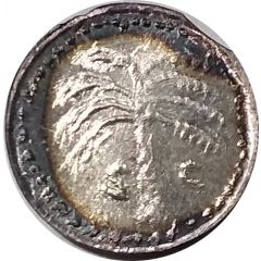 Token - Silver Palmetto