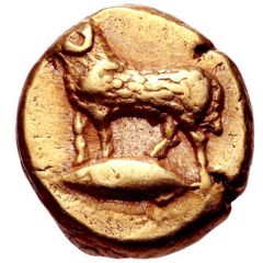 Hemihekte