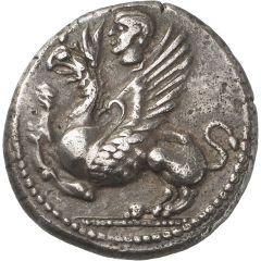 Tetradrachm - Hippon