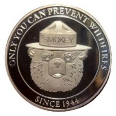 Only You Can Prevent Wildfires - Smokey Bear