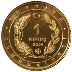 1 Kuruş Kestrel