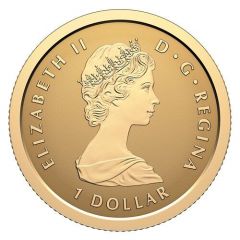 1 Dollar In the name of Elizabeth II, Gold fractional