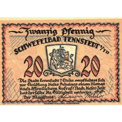 20 Pfennig