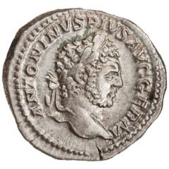 Denarius - Caracalla P M TR P XVII COS IIII P P, Serapis